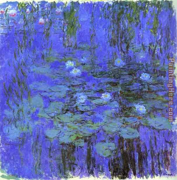 Blue Water Lilies